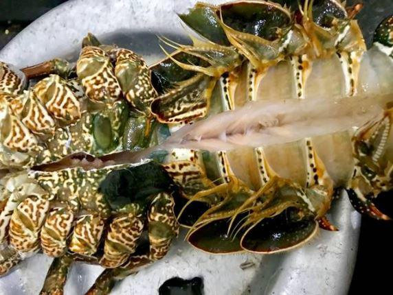 cach che bien tom hum nhieu mon ngon hap dan, de lam tai nha - 8