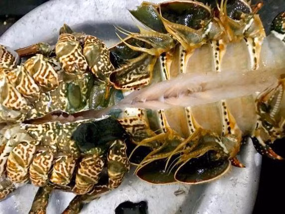 cach che bien tom hum nhieu mon ngon hap dan, de lam tai nha - 8