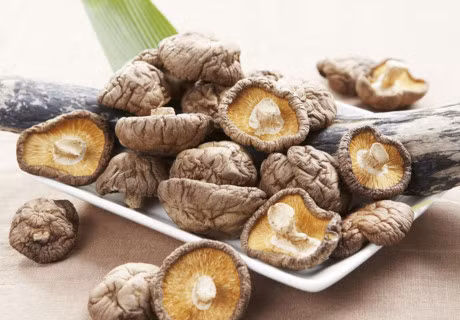 Meo che bien mon ga ham nam huong boi bo gia dinh - Anh 1