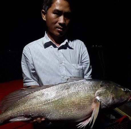 Ngư dân bắt được cá nặng 8kg, nghi cá sủ vàng quý hiếm - Ảnh 1 Ngu dan bat duoc ca nang 8kg, nghi ca su vang quy hiem - Anh 1
