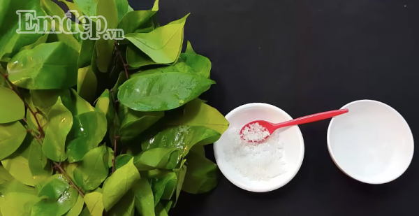 Vò nát lá này rồi đắp lên mặt, 9X Hà thành hết sạch mụn nhọt, sẹo thâm khiến ai cũng kinh ngạc