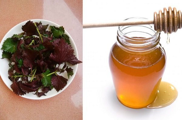 Có 3 cách làm trắng da mặt bằng lá tía tô, U42 trông cứ như U24 ảnh 3