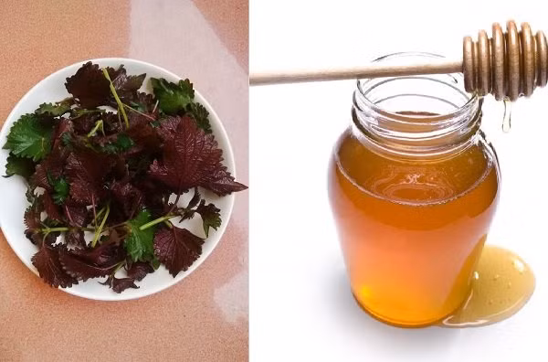 Có 3 cách làm trắng da mặt bằng lá tía tô, U42 trông cứ như U24 ảnh 3