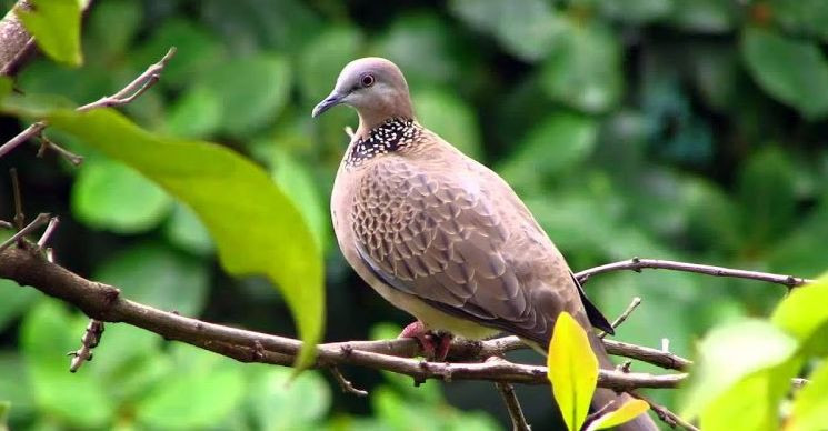 Ảnh minh họa: ITN. Ảnh minh họa: ITN.