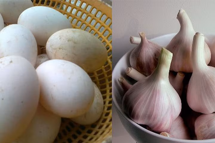 Những cặp thực phẩm kị nhau có thể gây chết người nếu dùng chung