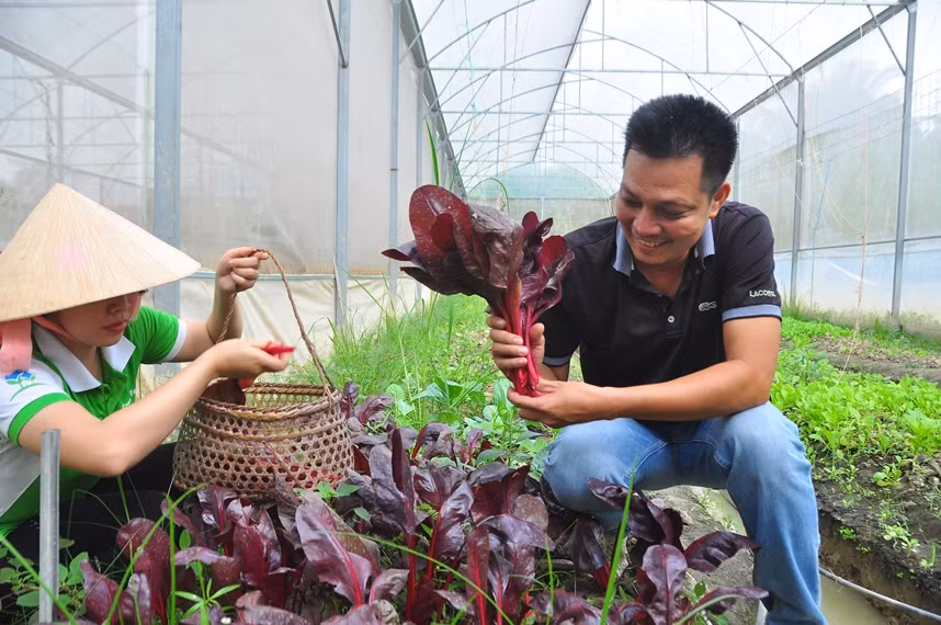 Anh Nguyễn Văn Phong chọn hướng khởi nghiệp riêng cho mình bằng cách xây dựng nông trại xanh gắn với phát triển du lịch.