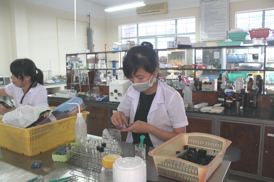 Sinh viên Trường ĐH Cần Thơ thực hành trong phòng thí nghiệm. Ảnh: Q. Ngữ