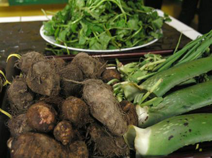 Khi bị ngứa hãy lập tức lấy dấm ăn pha vào nước ấm rồi ngâm phần da bị ngứa. trị ngứa tay