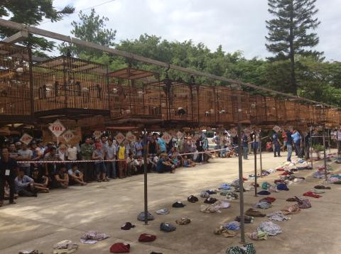 Giám đốc Sở tuổi 30 kể lại vụ mất trộm chim - Ảnh 2