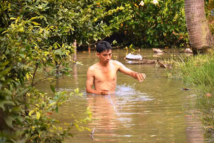 Tràn bờ bao ven sông, hàng nghìn gốc mai của người dân bị nhấn chìm