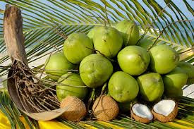 Loại quả mùa hè càng ăn càng giảm cân ảnh 5 Loại quả mùa hè càng ăn càng giảm cân