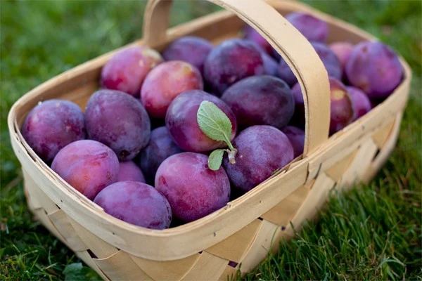 Loại quả mùa hè càng ăn càng giảm cân