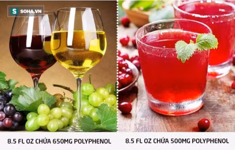 11 quy tac an uong tuong chung tot nhung lai la lam tuong tai hai - Anh 10