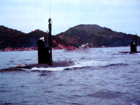 Hai loại Hai loai