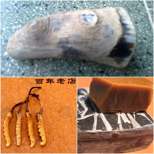 Bóc mẽ bí mật trong “đông trùng hạ thảo”, sừng tê giác, cao hổ giả