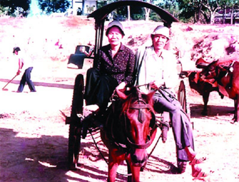 Lý không chỉ có ở Nam Bộ
