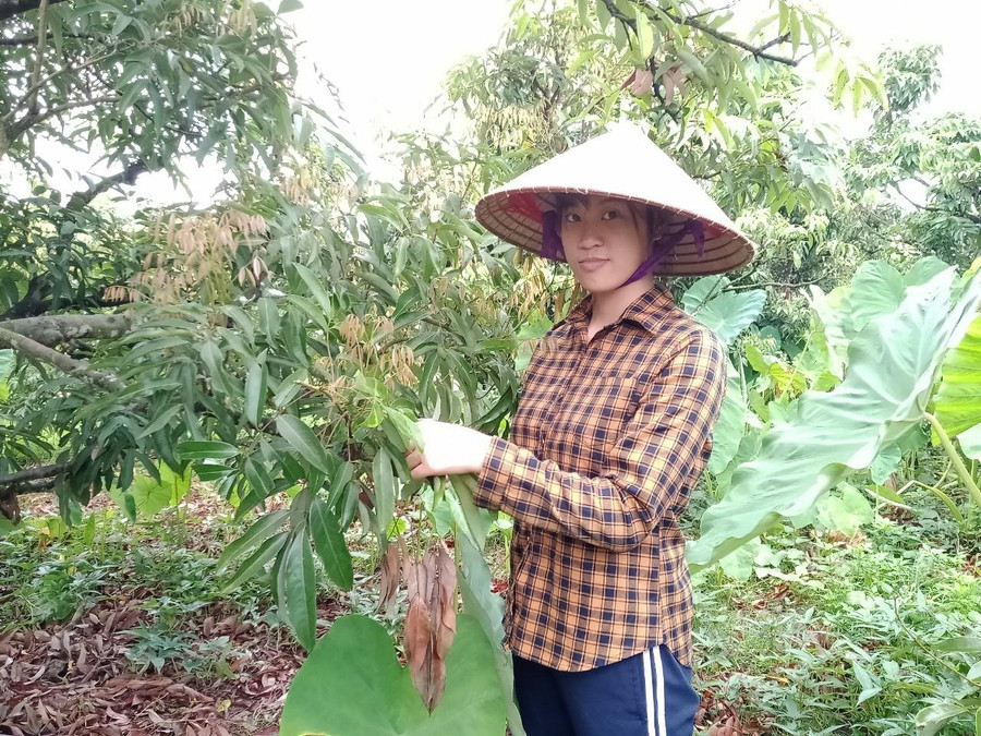 Hằng chăm vải giúp mẹ sau giờ học trên lớp. Hằng chăm vải giúp mẹ sau giờ học trên lớp.