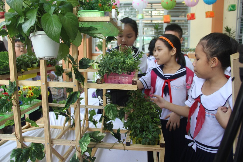 Học sinh thích thú tham quan mô hình ý tưởng vườn rau của các đội