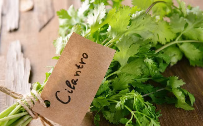 Nhà nghiên cứu Mỹ chỉ ra loại rau “đẩy” 80% kim loại nặng khỏi cơ thể: Việt Nam có nhiều