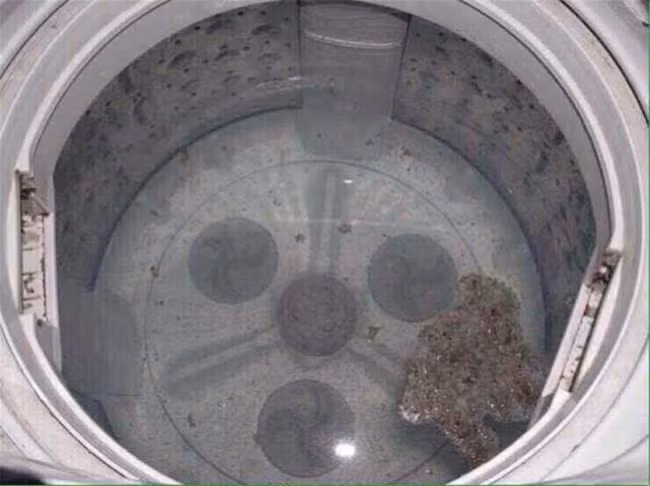Vi khuẩn trong máy giặt nhiều hơn ở nhà vệ sinh? Mách bạn thủ thuật loại bỏ chúng dễ dàng, siêu hiệu quả