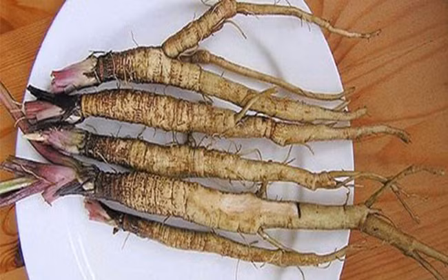 7 cách để loại bỏ thuốc trừ sâu ra khỏi cơ thể