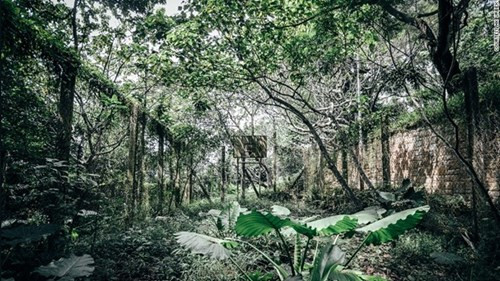 Bên trong những công trình 