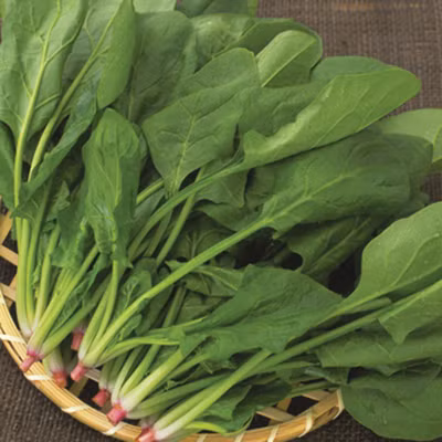 10 loại thực phẩm giúp bạn 