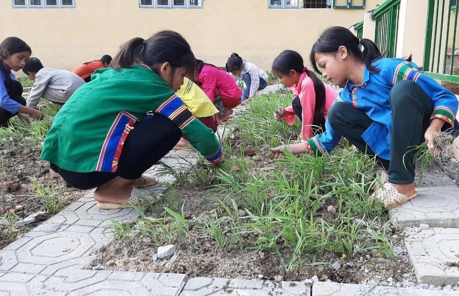 Thông qua lao động có thể giáo dục hướng nghiệp hiệu quả với học sinh tiểu học. Ảnh: Đức Trí