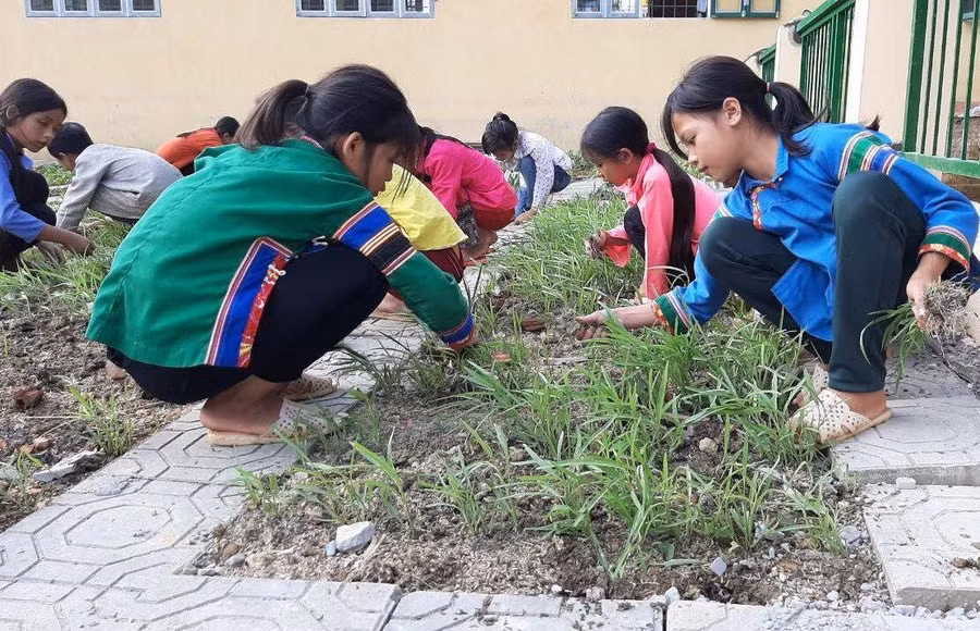 Thông qua lao động có thể giáo dục hướng nghiệp hiệu quả với học sinh tiểu học. Ảnh: Đức Trí