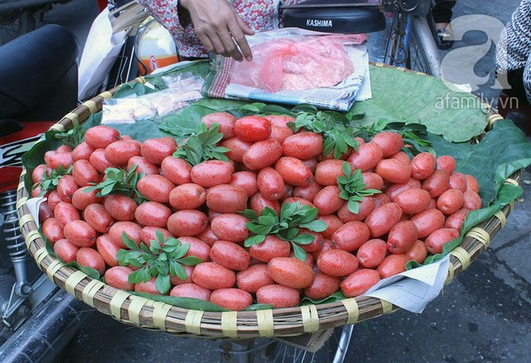 Ngon “ứa nước miếng” - những quả chua tháng Tư Ngon “ua nuoc mieng” - nhung qua chua thang Tu
