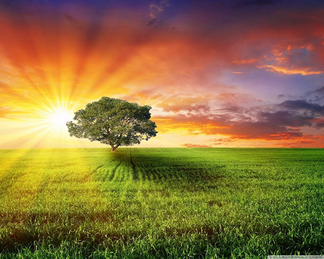 10 câu nói mang lại nghị lực cho bất kì ai ảnh 2