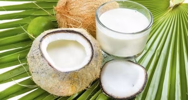 Đây là lý do kết hợp sữa và dừa sẽ đưa lại nhiều tác dụng với sức khỏe trong mùa hè