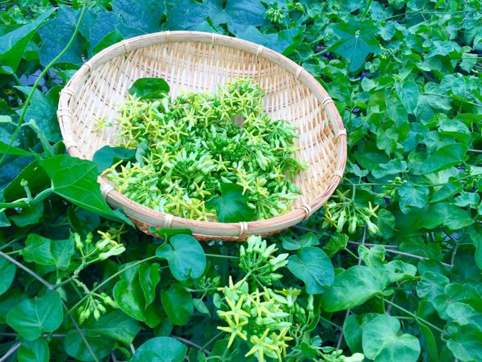 Vườn rau sạch 200m2 sum suê cây trái của nữ giám đốc Sài Gòn ảnh 3