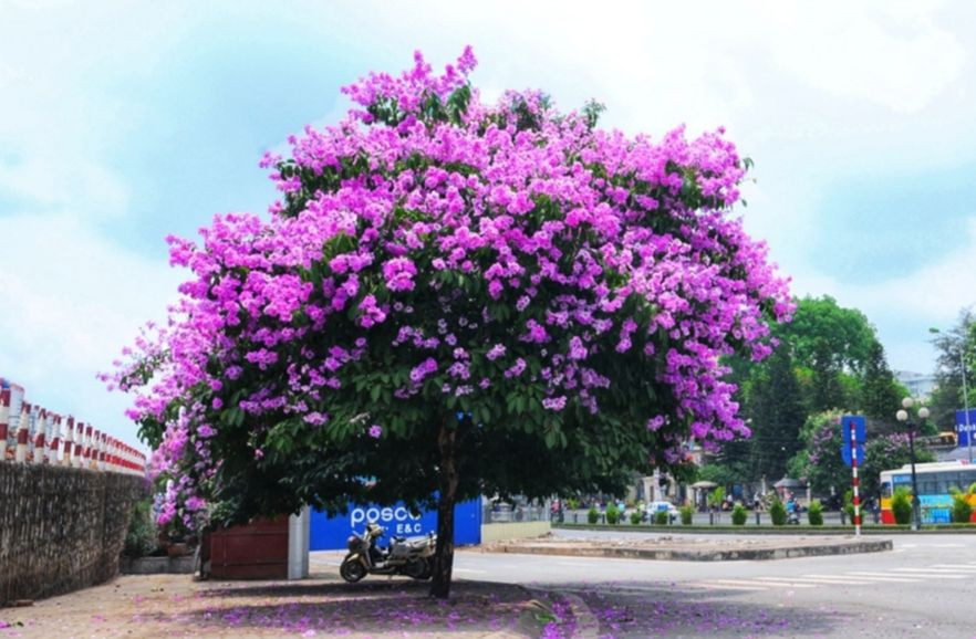 Ảnh minh họa ITN.