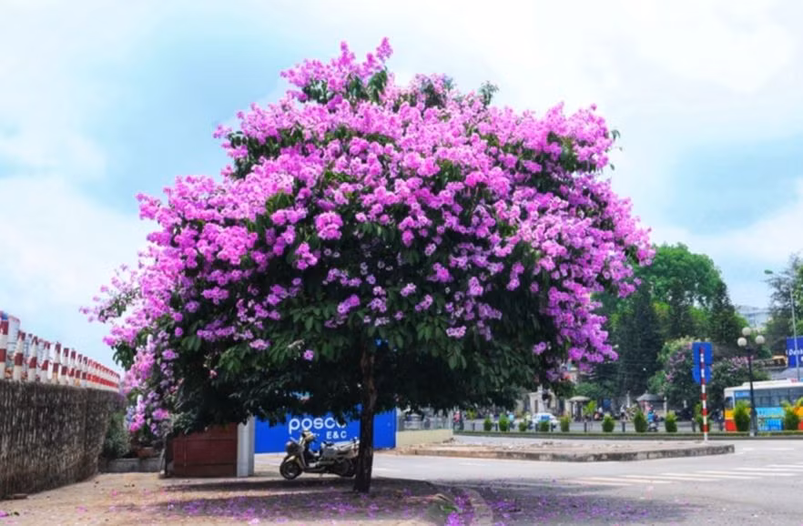 Ảnh minh họa ITN.