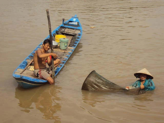 Miền Tây lao đao mùa lũ cạn: “Vụ này tiêu rồi“