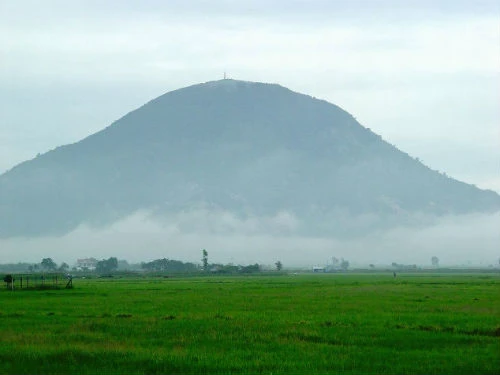 Lang y ẩn cư và bài thuốc chữa bệnh từ cây Lửa ong ở Tây Ninh