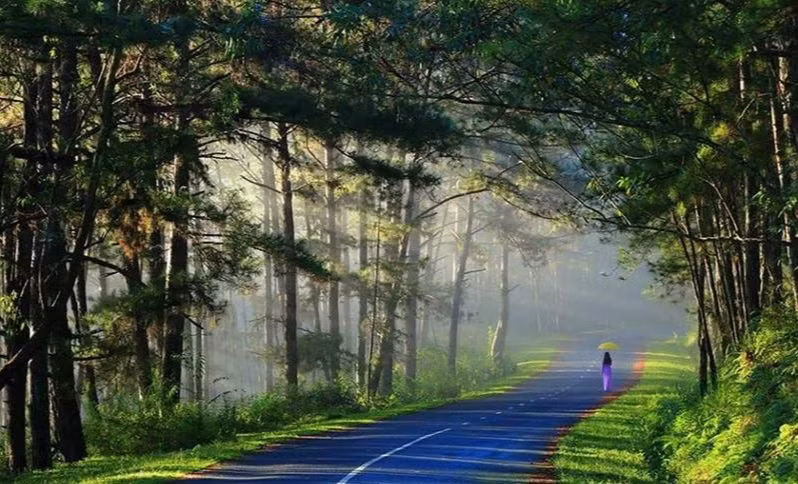 Ảnh minh họa ITN.