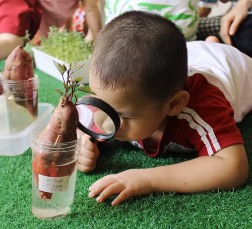 12 cách kích hoạt trí thông minh sớm ở trẻ ảnh 2