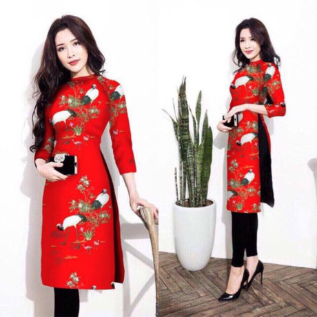Chỉ cần áo dài, quần... không quan trọng! - Ảnh 3 Chi can ao dai, quan... khong quan trong! - Anh 3