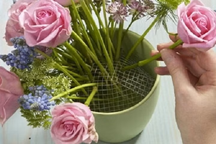 Mẹo chơi hoa tết sau 7 ngày tươi như mới hái!