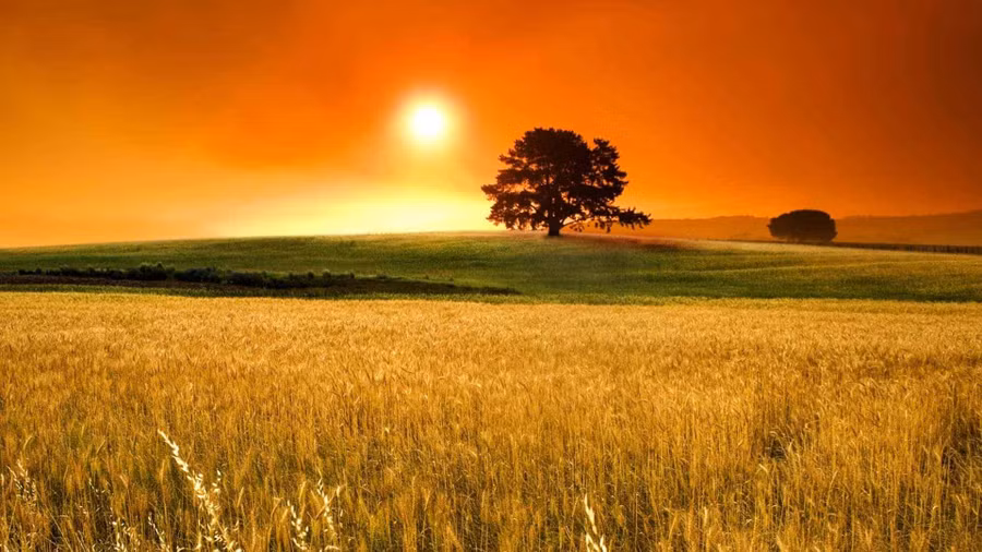 Ảnh minh họa: ITN