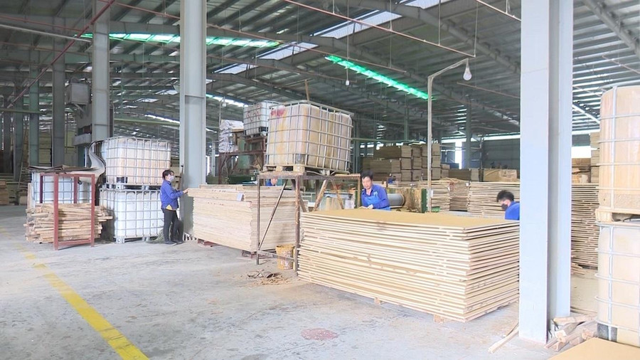 Nhiều nhà đầu tư chế biến lâm sản đã tìm đến Bắc Kạn để hợp tác đầu tư lâu dài. Nhiều nhà đầu tư chế biến lâm sản đã tìm đến Bắc Kạn để hợp tác đầu tư lâu dài.