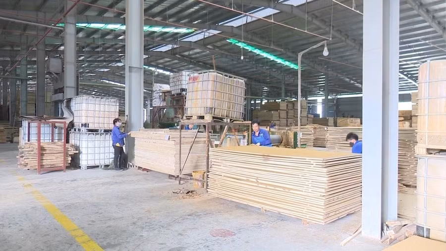 Nhiều nhà đầu tư chế biến lâm sản đã tìm đến Bắc Kạn để hợp tác đầu tư lâu dài.