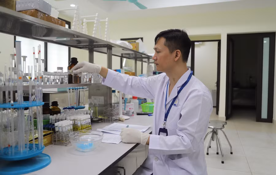 TS Nguyễn Quang Huy.