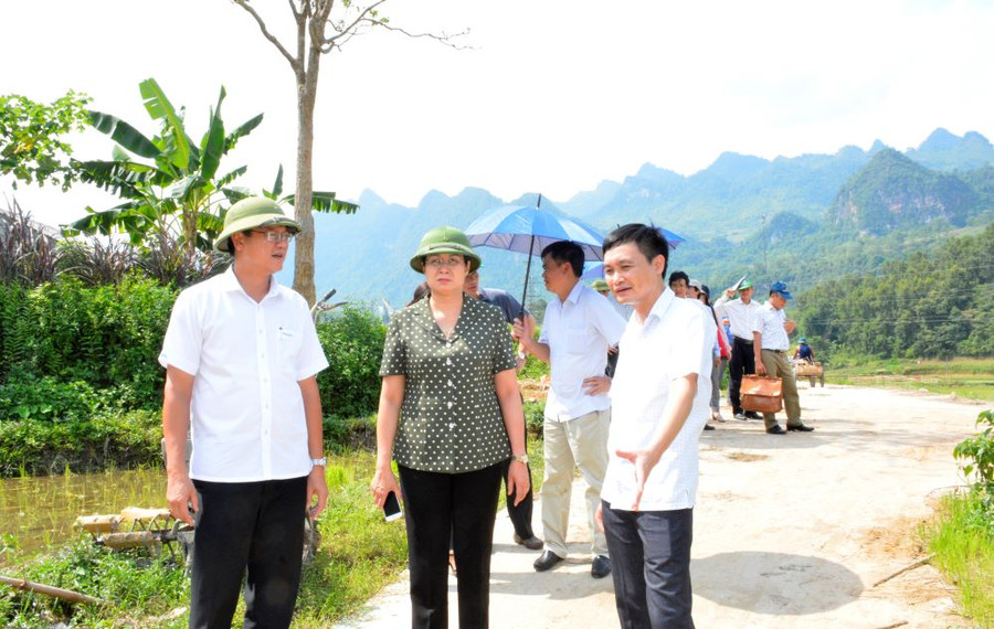 Thứ trưởng Lê Hải An kiểm tra xây dựng nông thôn mới tại Hà Giang ngày 8/7/2019.