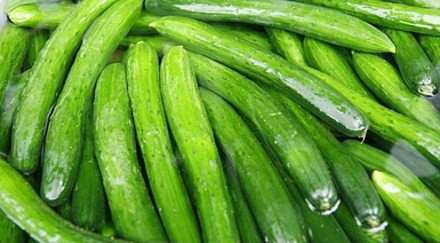 Lợi ích và tác hại của dưa chuột