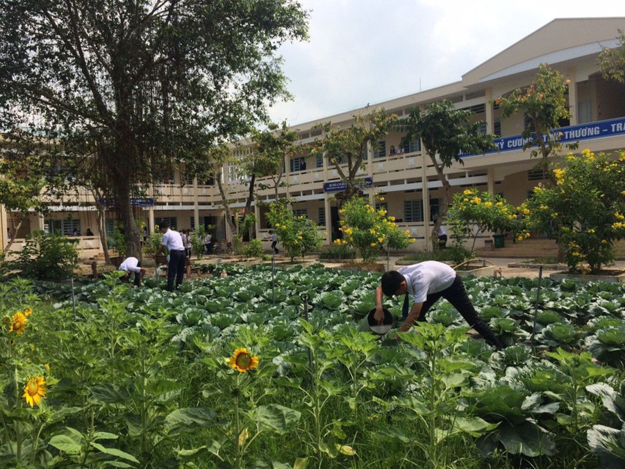 Khuôn viên xanh mát của Trường THPT Trung An. Ảnh: T.G