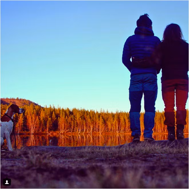 Cặp đôi bỏ việc, trải nghiệm sống một năm giữa rừng núi