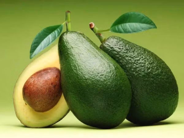 Ảnh minh họa ITN.